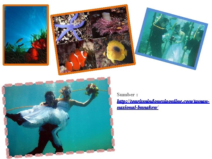 Sumber : http: //tourismindonesiaonline. com/tamannasional-bunaken/ 