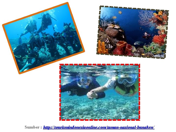 Sumber : http: //tourismindonesiaonline. com/taman-nasional-bunaken/ 
