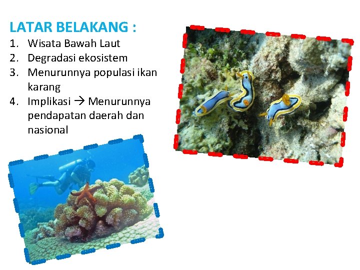 LATAR BELAKANG : 1. Wisata Bawah Laut 2. Degradasi ekosistem 3. Menurunnya populasi ikan