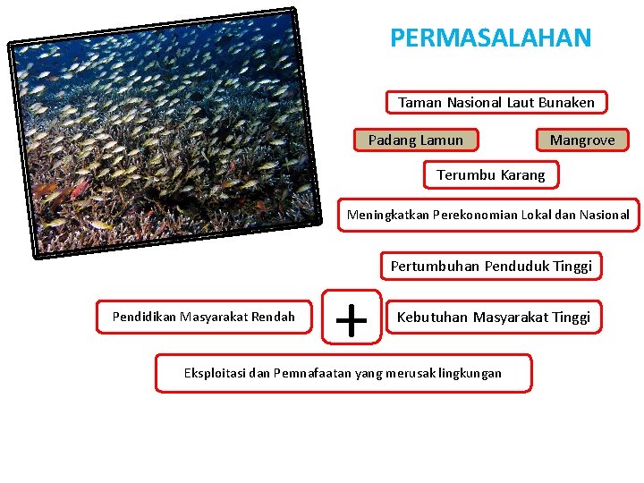 PERMASALAHAN Taman Nasional Laut Bunaken Padang Lamun Mangrove Terumbu Karang Meningkatkan Perekonomian Lokal dan