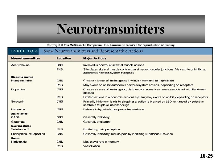 Neurotransmitters 10 -25 
