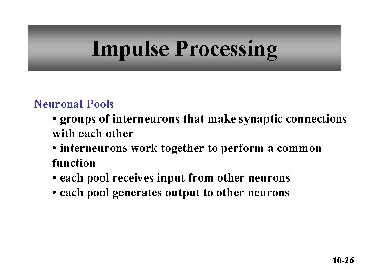 Impulse Processing Neuronal Pools • groups of interneurons that make synaptic connections with each