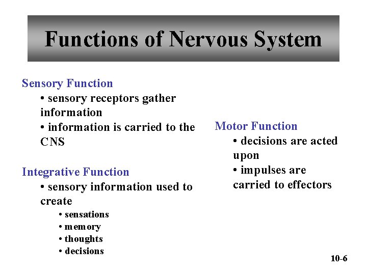 Functions of Nervous System Sensory Function • sensory receptors gather information • information is
