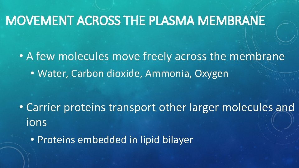 MOVEMENT ACROSS THE PLASMA MEMBRANE • A few molecules move freely across the membrane