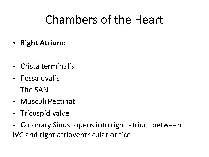Chambers of the Heart • Right Atrium: - Crista terminalis - Fossa ovalis -