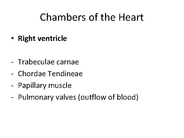Chambers of the Heart • Right ventricle - Trabeculae carnae Chordae Tendineae Papillary muscle