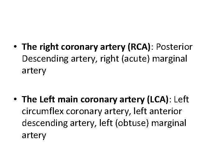  • The right coronary artery (RCA): Posterior Descending artery, right (acute) marginal artery