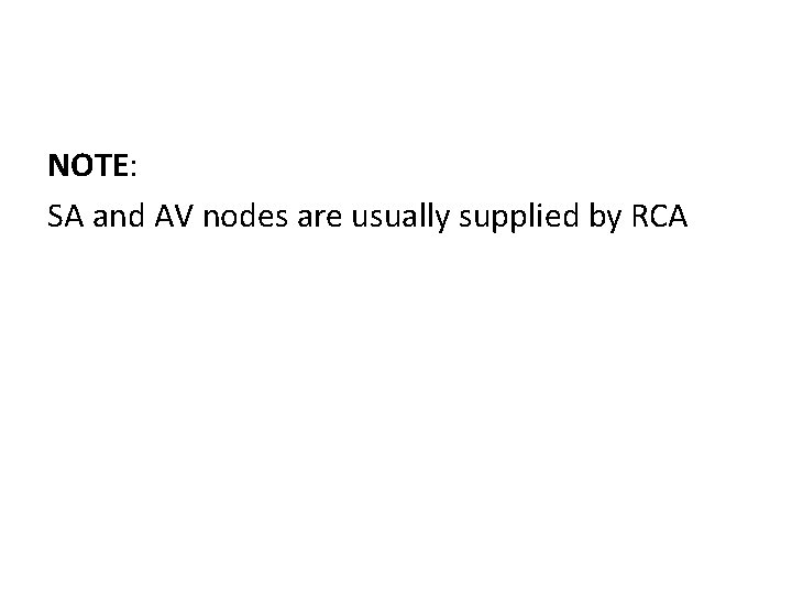 NOTE: SA and AV nodes are usually supplied by RCA 