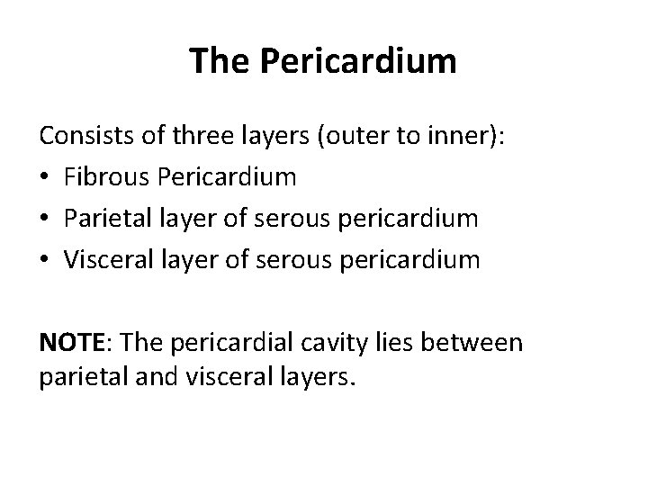 The Pericardium Consists of three layers (outer to inner): • Fibrous Pericardium • Parietal