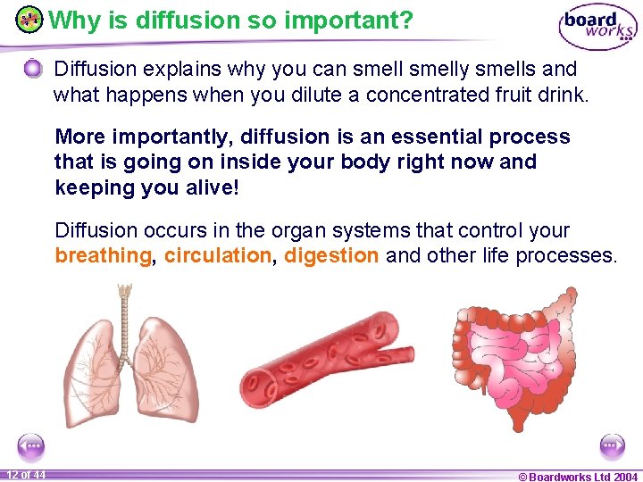 Why is diffusion so important? Diffusion explains why you can smelly smells and what