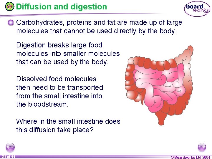 Diffusion and digestion Carbohydrates, proteins and fat are made up of large molecules that