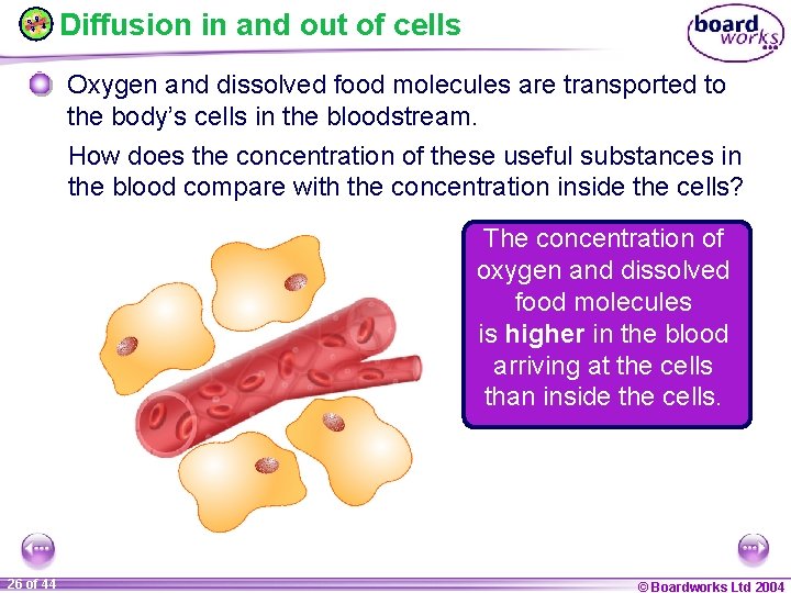 Diffusion in and out of cells Oxygen and dissolved food molecules are transported to