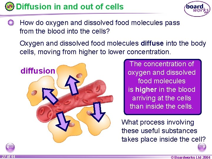 Diffusion in and out of cells How do oxygen and dissolved food molecules pass