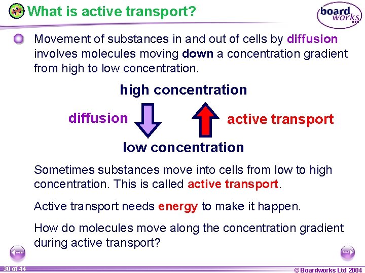 What is active transport? Movement of substances in and out of cells by diffusion