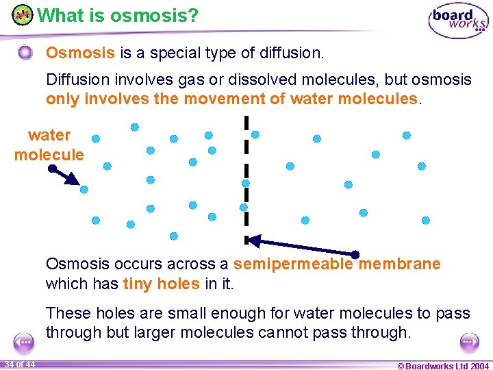 What is osmosis? Osmosis is a special type of diffusion. Diffusion involves gas or
