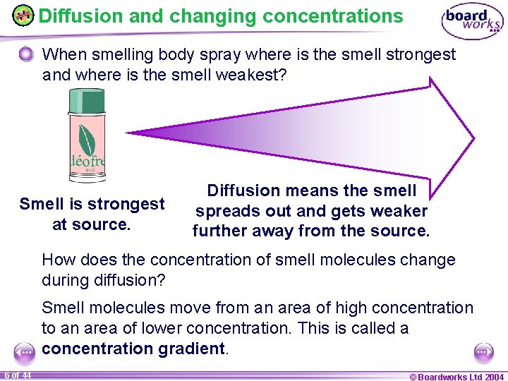 Diffusion and changing concentrations When smelling body spray where is the smell strongest and