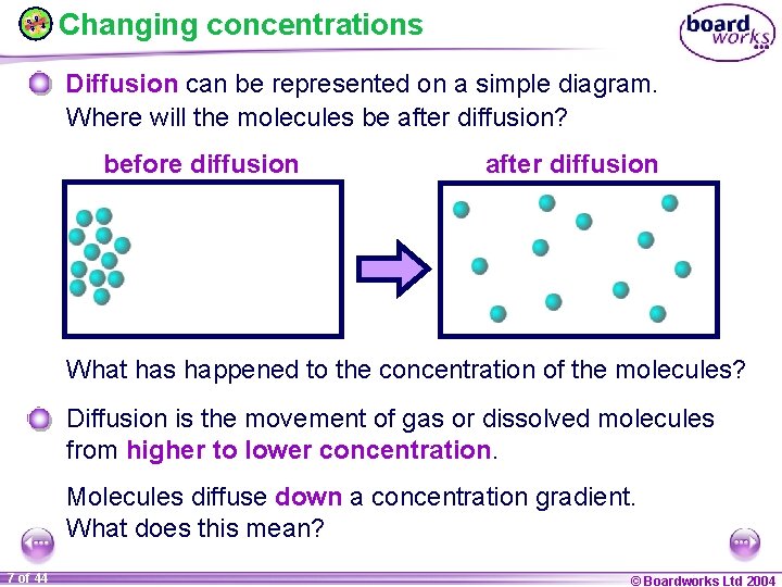 Changing concentrations Diffusion can be represented on a simple diagram. Where will the molecules