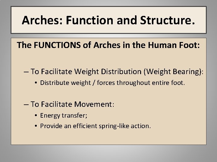 Arches: Function and Structure. The FUNCTIONS of Arches in the Human Foot: – To
