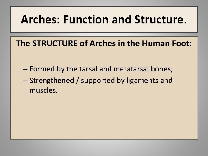 Arches: Function and Structure. The STRUCTURE of Arches in the Human Foot: – Formed