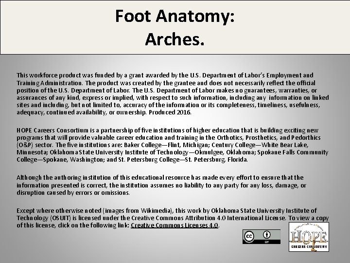 Foot Anatomy: Arches. This workforce product was funded by a grant awarded by the