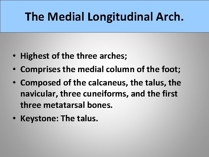 The Medial Longitudinal Arch. • Highest of the three arches; • Comprises the medial