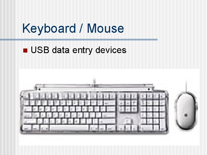 Keyboard / Mouse n USB data entry devices Keyboard / Mouse n USB data entry devices