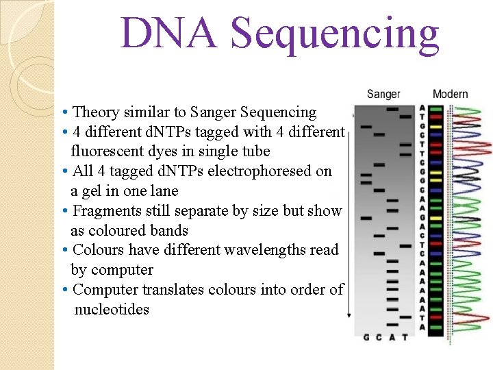 DNA Sequencing • Theory similar to Sanger Sequencing • 4 different d. NTPs tagged