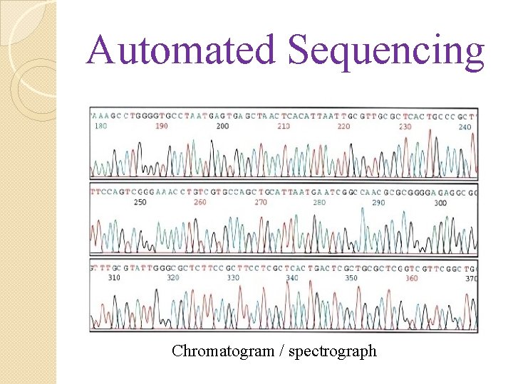 Automated Sequencing Chromatogram / spectrograph 