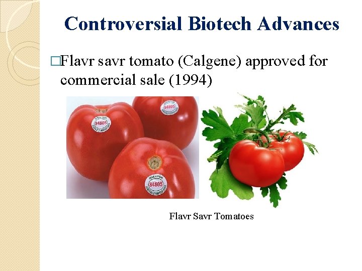 Controversial Biotech Advances �Flavr savr tomato (Calgene) approved for commercial sale (1994) Flavr Savr