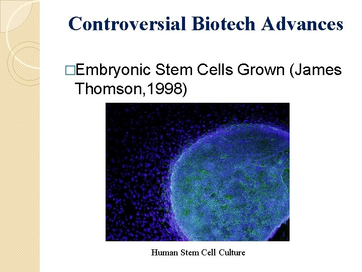 Controversial Biotech Advances �Embryonic Stem Cells Grown (James Thomson, 1998) Human Stem Cell Culture