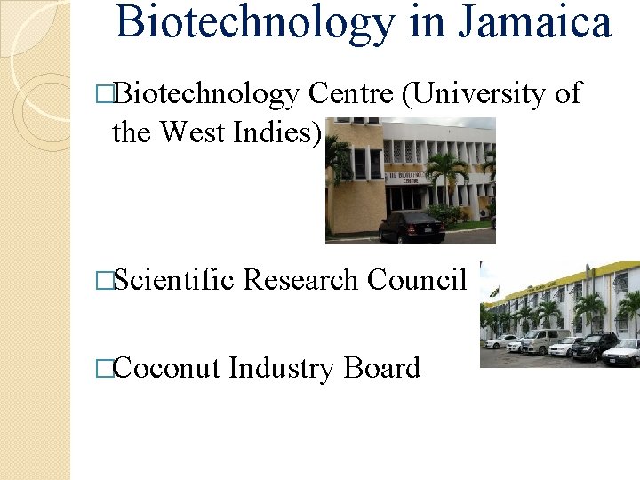 Biotechnology in Jamaica �Biotechnology Centre (University of the West Indies) �Scientific �Coconut Research Council