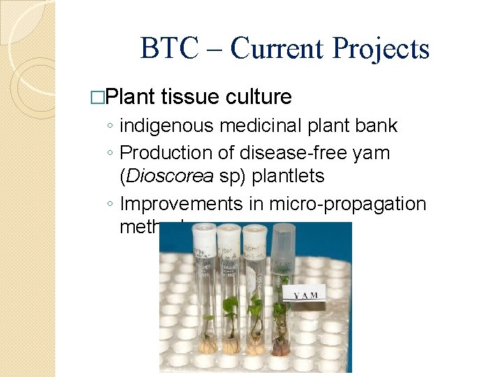 BTC – Current Projects �Plant tissue culture ◦ indigenous medicinal plant bank ◦ Production