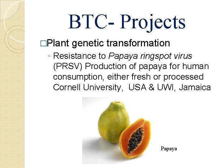BTC- Projects �Plant genetic transformation ◦ Resistance to Papaya ringspot virus (PRSV) Production of