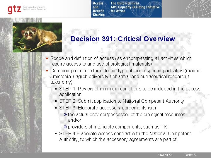 Decision 391: Critical Overview § Scope and definition of access (as encompassing all activities