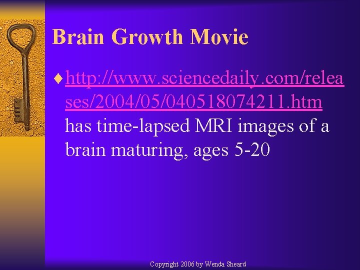 Brain Growth Movie ¨http: //www. sciencedaily. com/relea ses/2004/05/040518074211. htm has time-lapsed MRI images of