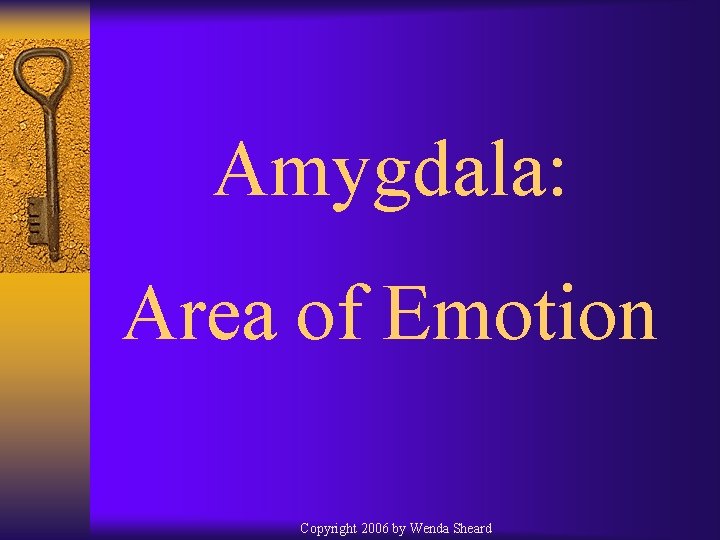 Amygdala: Area of Emotion Copyright 2006 by Wenda Sheard 