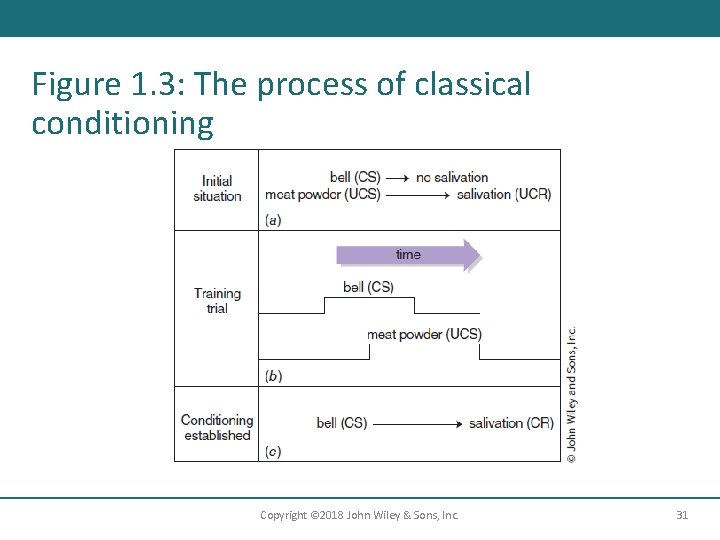 Figure 1. 3: The process of classical conditioning Copyright © 2018 John Wiley &