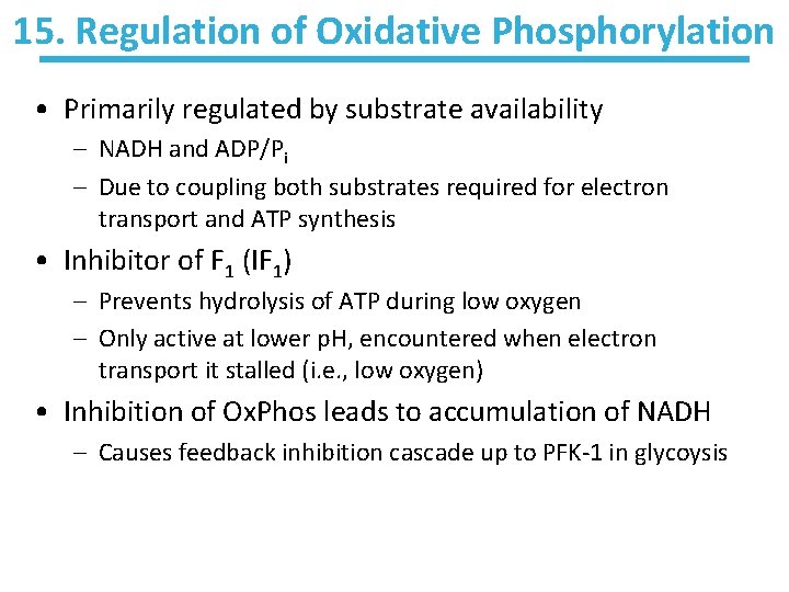 15. Regulation of Oxidative Phosphorylation • Primarily regulated by substrate availability – NADH and