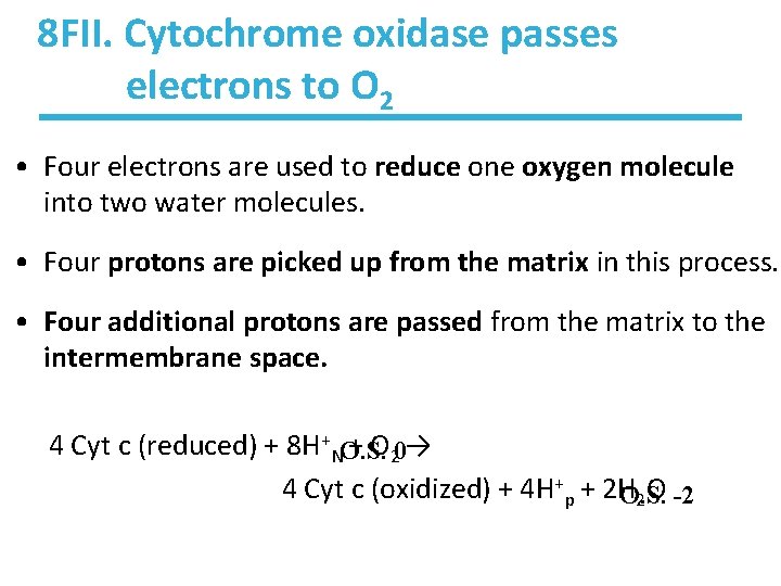 8 FII. Cytochrome oxidase passes electrons to O 2 • Four electrons are used