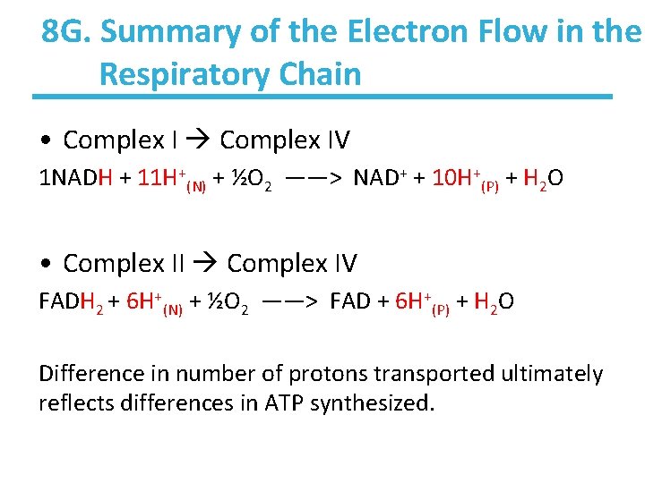 8 G. Summary of the Electron Flow in the Respiratory Chain • Complex IV