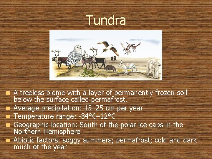 Tundra n n n A treeless biome with a layer of permanently frozen soil