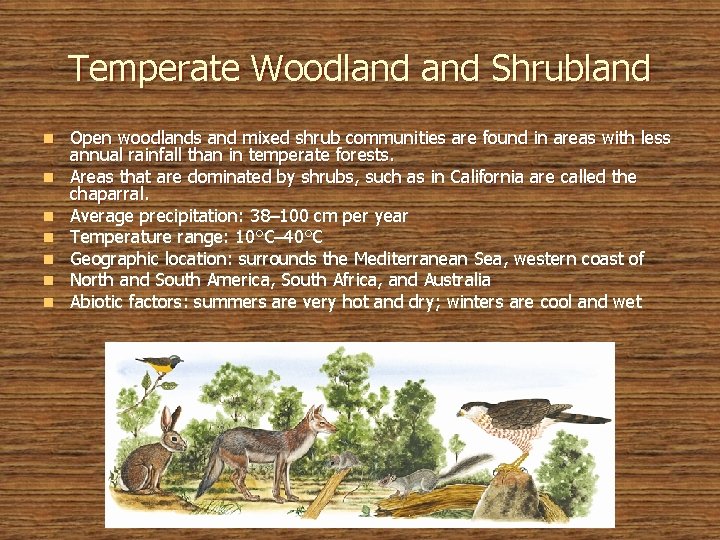 Temperate Woodland Shrubland n n n n Open woodlands and mixed shrub communities are