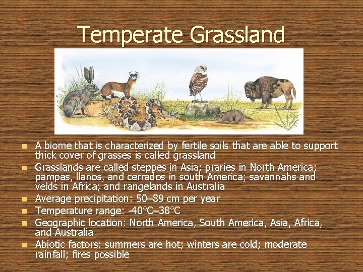 Temperate Grassland n n n A biome that is characterized by fertile soils that