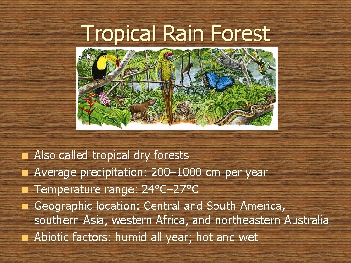 Tropical Rain Forest n n n Also called tropical dry forests Average precipitation: 200–