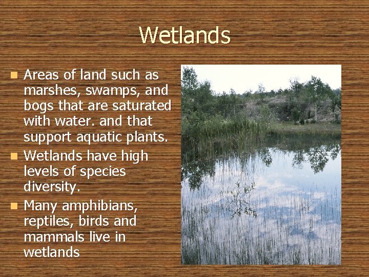 Wetlands Areas of land such as marshes, swamps, and bogs that are saturated with