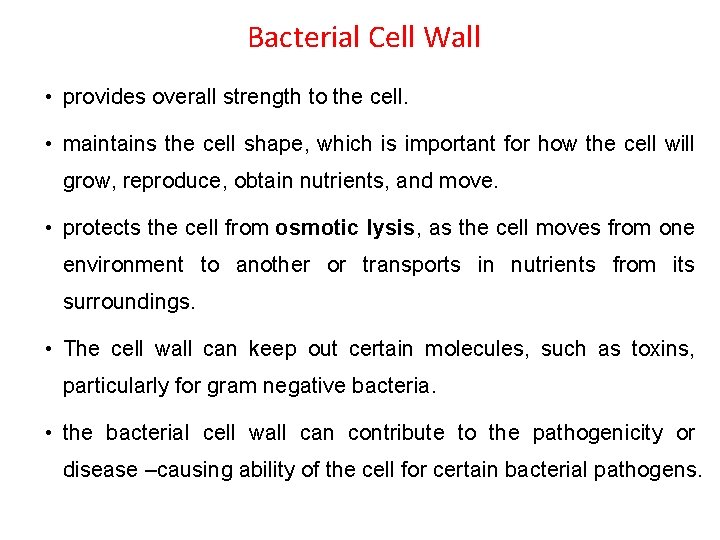 Bacterial Cell Wall • provides overall strength to the cell. • maintains the cell