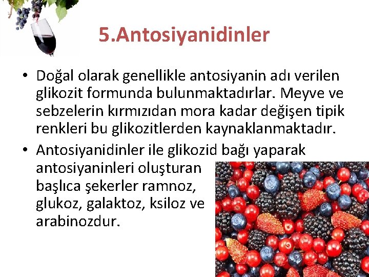 5. Antosiyanidinler • Doğal olarak genellikle antosiyanin adı verilen glikozit formunda bulunmaktadırlar. Meyve ve