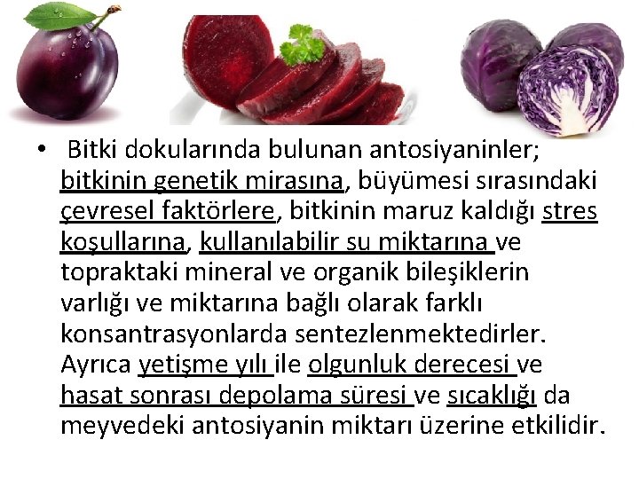  • Bitki dokularında bulunan antosiyaninler; bitkinin genetik mirasına, büyümesi sırasındaki çevresel faktörlere, bitkinin