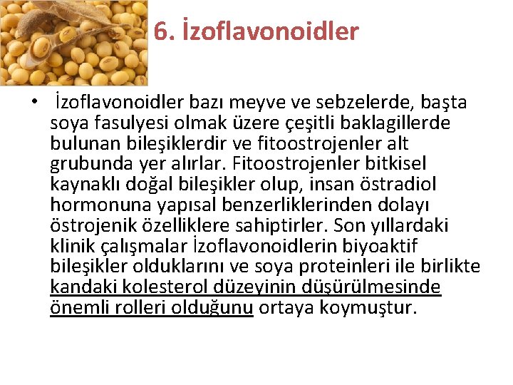 6. İzoflavonoidler • İzoflavonoidler bazı meyve ve sebzelerde, başta soya fasulyesi olmak üzere çeşitli