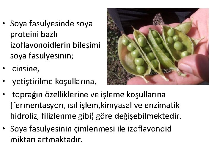  • Soya fasulyesinde soya proteini bazlı izoflavonoidlerin bileşimi soya fasulyesinin; • cinsine, •